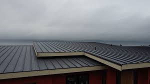 Best Metal Roofing Installation  in Chapman, KS